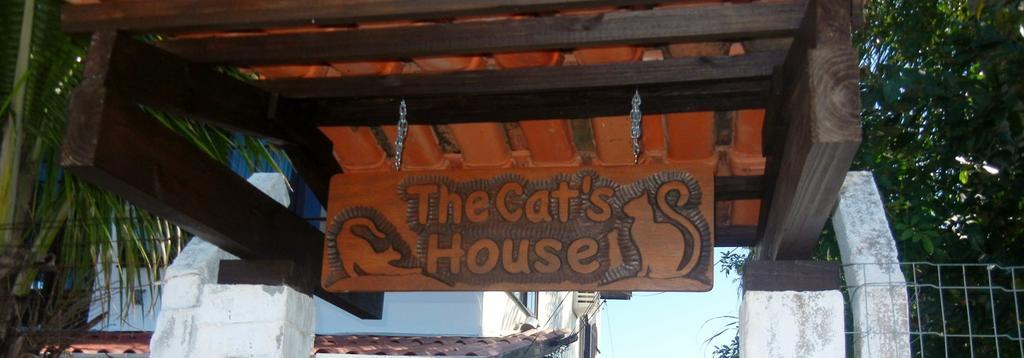Отель The Cats' House Флорианополис Экстерьер фото
